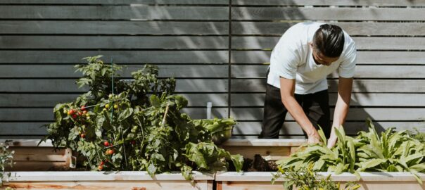 Green Thumb or Not? 5 Reasons to Leave Landscaping to the Pros